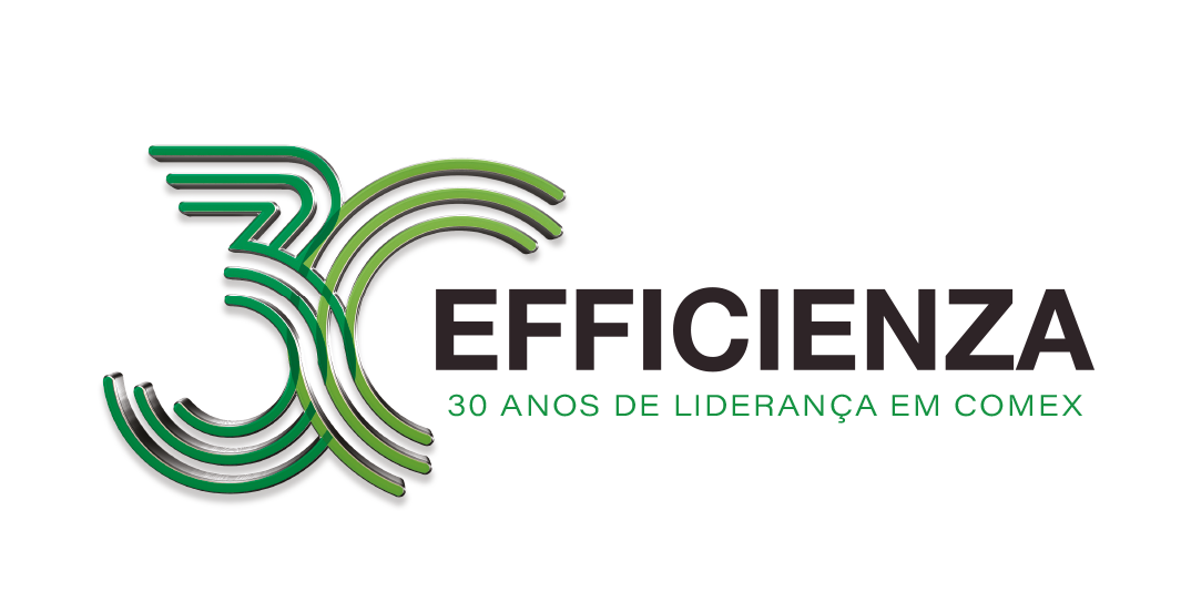 Efficienza - Comércio Internacional - COMEX - Caxias do Sul - Porto Alegre - São Paulo